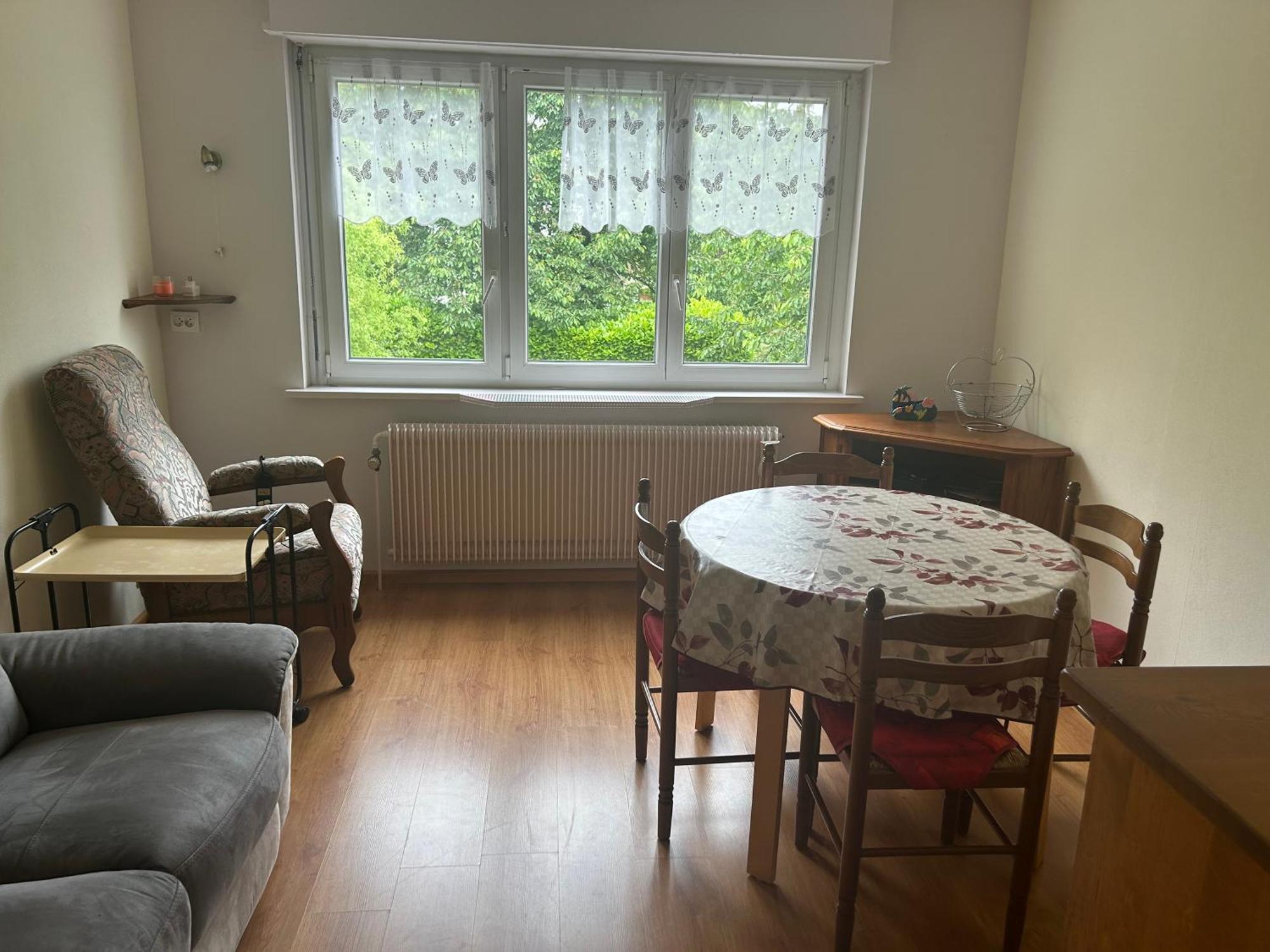 Superbe Maison 3 Chambres 1 Etage Et Sous-Sol, Avec Jardin Et Terrasse Altkirch Exterior foto